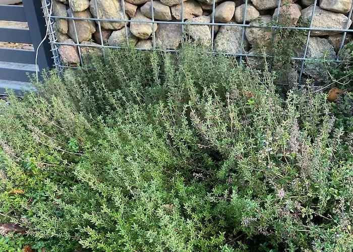 By Wise Ka With Sauna Vakantiehuis Wisełka